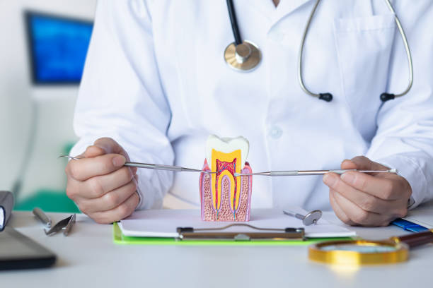 Best Emergency Wisdom Teeth Removal in Rector, AR